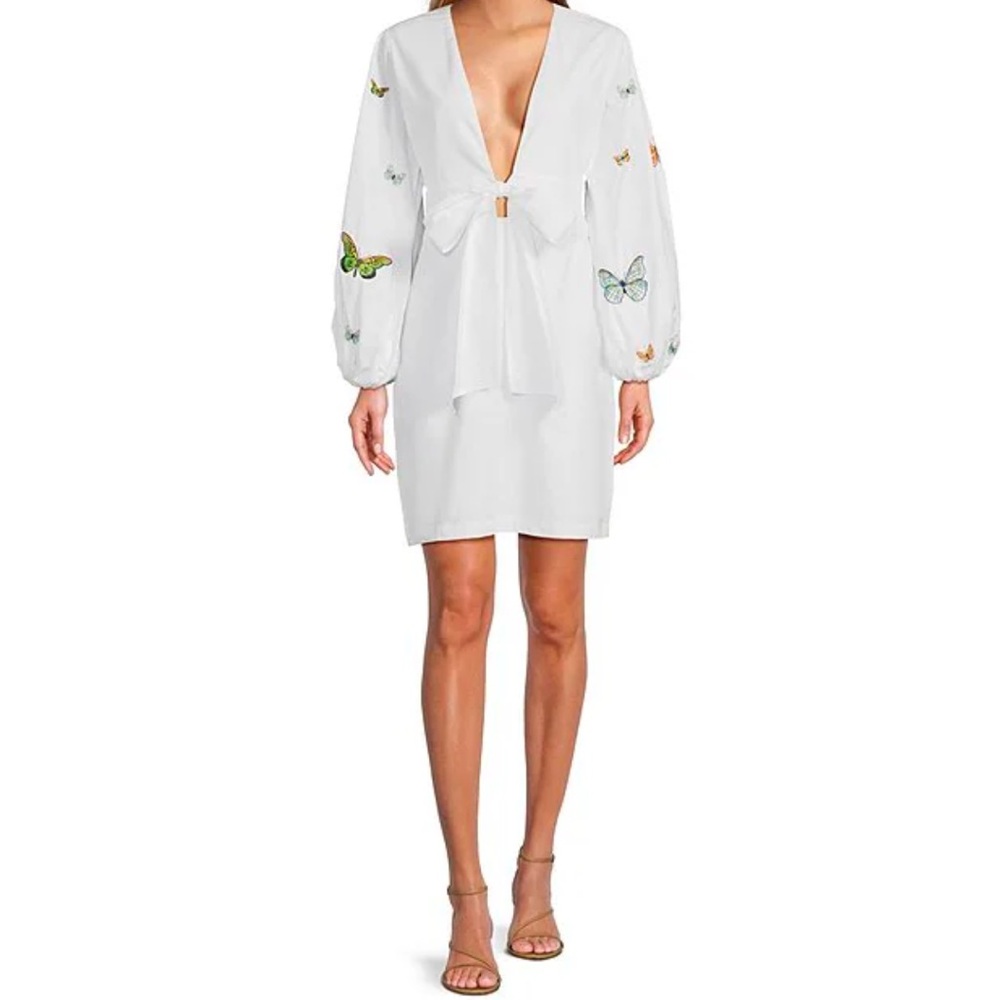 Larson Embroidered Long Sleeve V Neckline Mini Dress
